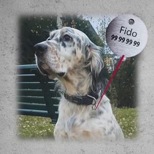 HUNDESKILT / DYRESKILT