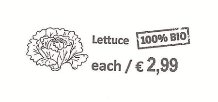 img30.jpg