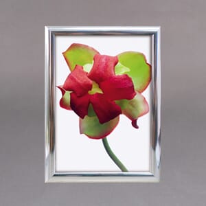 Alu snap ramme 25mm Krom.Flere Størrelser