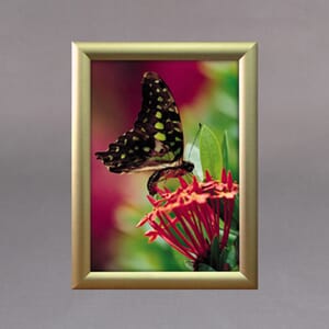 Alu snap ramme 25mm Gull. Flere størrelser