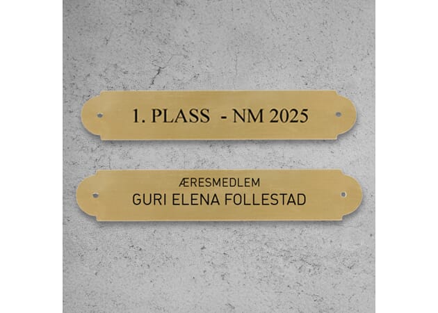 Maleriskilt - 450x450.jpg